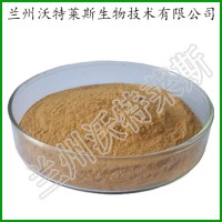 羅漢果 植物提取物 羅漢果提取物