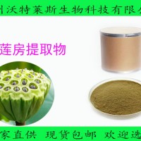 蓮房提取物 10：1比例 蓮蓬提取物 現(xiàn)貨供應(yīng)