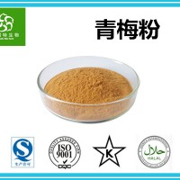 青梅粉 青梅速溶粉 青梅果粉 扶風生產基地暢銷水果粉