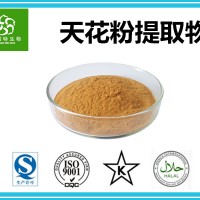 天花粉提取物10:1 天花濃縮粉 天花粉 生產(chǎn)廠家現(xiàn)貨供應(yīng)