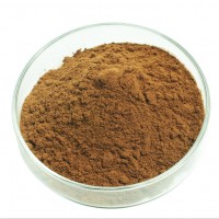 甜椒提取物 辣椒素酯 40% capsiate 篤誠醫藥