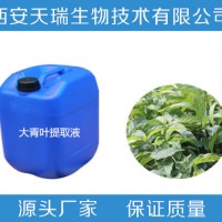 廠家批發 天然植物浸膏 大青葉浸膏  天瑞生物