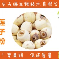 廠家批發 天然植物提取液 蓮子提取濃縮液