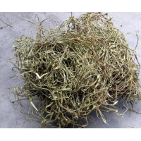 鱷梨提取物