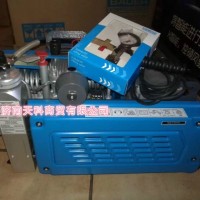 德爾格PE100空氣呼吸器氣瓶充氣泵