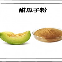 甜瓜子濃縮粉 甜瓜籽粉 可定制多種規格 香瓜籽濃縮粉