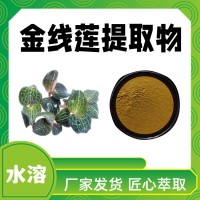 金線蓮提取物 水溶金線蓮粉 新食品原料