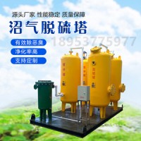 琪源 小型沼氣脫硫塔 沼氣凈化處理 沼氣過(guò)濾器生產(chǎn)廠家