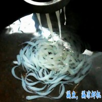 娃娃魚機漏涼蝦機廠家