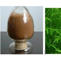 綠茶提取物（茶多酚）