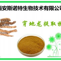 穿山龍提取物 參數 10:1 庫存充足 快速發貨