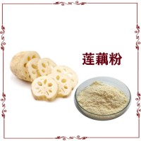 蓮藕粉 蓮藕提取物 食品級原料