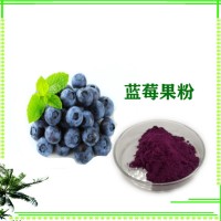 藍莓酵素粉 藍莓果粉 提取物 食品級原料