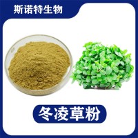 冬凌草提取物 水溶性冬凌草粉 植提廠家供應