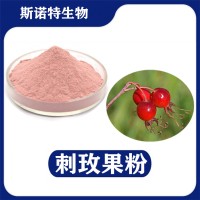 刺玫果提取物 水溶性刺玫果粉 植提廠家供應