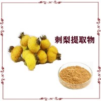 刺梨提取物 刺梨粉 食品級原料