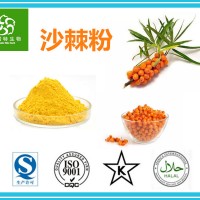 沙棘粉 沙棘果果粉 沙棘果汁粉 生產(chǎn)基地直銷包郵