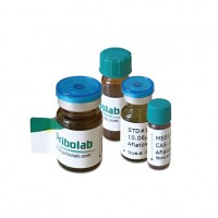 黃曲霉毒素B2/乙腈-10 μg/mL 液體標準品