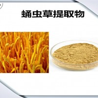 蛹蟲草提取物 比例提取 蛹蟲草粉