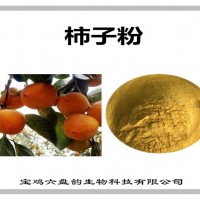 柿子速溶粉 水溶性柿子粉 固體飲料原料 紅柿粉