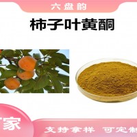 柿子葉提取物 柿子葉黃酮 植物提取物