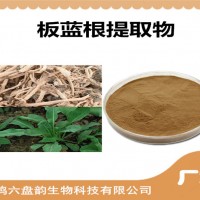 板藍(lán)根提取物 比例提取 板藍(lán)根粉 植物提取物