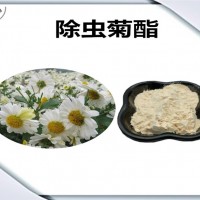 除蟲菊提取物 生產(chǎn)廠家 除蟲菊酯
