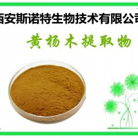 黃楊木提取物 20:1 黃楊提取物 比例提取物 包郵
