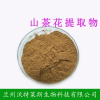 山茶花提取物 山茶花粉大量庫(kù)存  現(xiàn)貨包郵