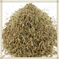 小茴香提取物 比例濃縮提取 水溶性好 噴霧干燥工藝 包郵