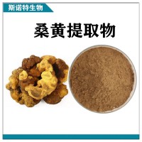 桑黃提取物 水溶性桑黃速溶粉 斯諾特生物供應
