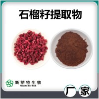 石榴籽提取物 水溶性石榴籽原花青素 斯諾特生物供應