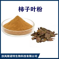 柿子葉提取物 水溶性柿子葉濃縮粉 斯諾特生物供應