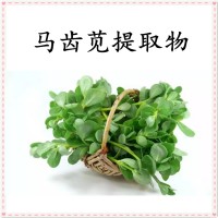 馬齒莧提取物 高比例濃縮萃取 噴霧干燥工藝 可提供小樣