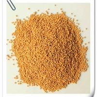 黃芥子提取物 高比例濃縮萃取 噴霧干燥工藝 可提供小樣