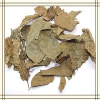 布渣葉提取物 高比例濃縮萃取 噴霧干燥工藝 可提供小樣