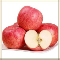 蘋果提取物 全水溶噴霧干燥粉末 庫存充足 可免費試樣