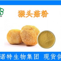 猴頭菇提取物 99%速溶粉 水溶性 廠家現貨批發