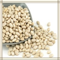 白蕓豆提取物 全水溶噴霧干燥粉末 資質齊全 可提供小樣