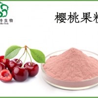 櫻桃果粉 全水溶櫻桃粉 有第三方檢測報告