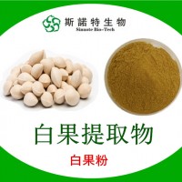 白果提取物 水萃取白果粉 廠家專業檢測