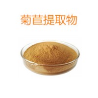 菊苣提取物  菊苣粉 1公斤起訂 長期供應