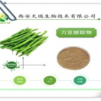 刀豆提取物的供應
