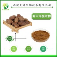 胖大海粉的價格