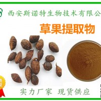 草果提取物 草果仁粉 草果速溶粉 草果濃縮粉 現貨包郵