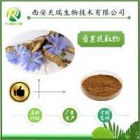 菊苣粉藥食同源產(chǎn)品供應(yīng)