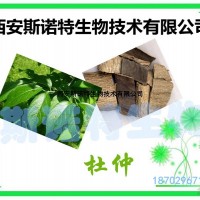杜仲比例提取物 30:1 杜仲提取物 杜仲粉
