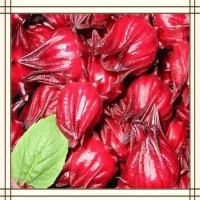玫瑰茄提取物 高倍濃縮萃取 易溶于水 噴霧干燥工藝 可試樣