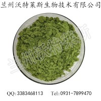 現(xiàn)貨供應(yīng) 大麥苗粉 麥苗汁粉 大麥苗粉