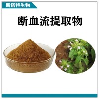 斷血流提取物 水溶性斷血流濃縮粉 斯諾特生物供應